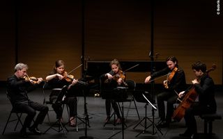 "Dissonance Chamber Music Series" en streaming ! (Le Havre)