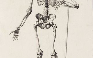 À la mort, à la vie ! Vanités d'hier et d'aujourd'hui