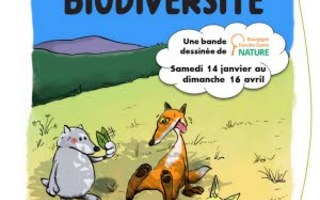 Changement climatique et biodiversité