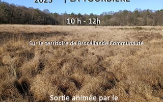 Sortie "Les mystères de la tourbière"