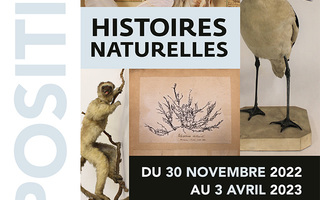 Exposition – Histoires Naturelles