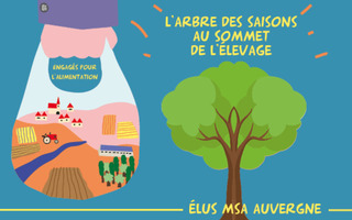 L'arbre des saisons raconté par les élus de la MSA Auvergne
