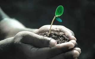 Journée d’animations autour des plantes.