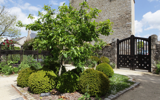 Visite commentée du jardin de Locmaria