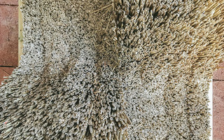 Transformations et Agroressources