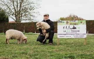Animaux en éco-pâturage